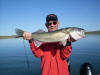 Bill Meitzel of Billings caught and released this Walleye finishing in Hell Creek, June of 2010. His toad weighted 17pounds and 40 inches long! Bill h
